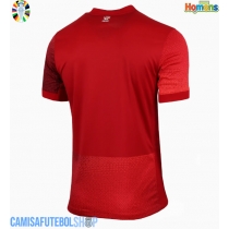 Camisa de time de futebol Polónia Replicas 2º Equipamento Europeu 2024 Manga Curta